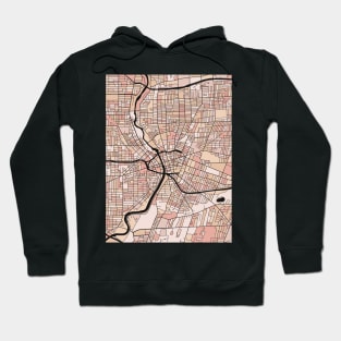 Rochester Map Pattern in Soft Pink Pastels Hoodie